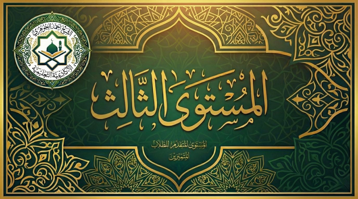 المستوى الثالث